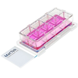 MatTek Corporation (Case of 12) Chambered Cell Culture Slides, 8-well,