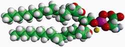 Avanti Polar Lipids L--PHOSPHATIDYLSERINE(BRAIN, Quantity: Each of 1