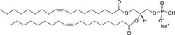 Avanti Polar Lipids DOPA 1G, Quantity: Each of 1