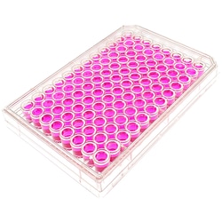 MatTek Corporation (Case of 5) 96-Well Plates, No. 1.5 Uncoated Coverslip,