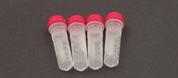 BioSpec Products&nbsp;XXTuff&trade; non-sterile, reinforced 2 ml vial and cap, 500/pk