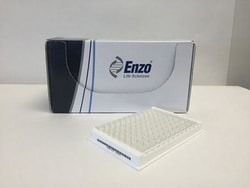 Enzo Life Sciences Corticosterone ELISA kit (1x96wells), Quantity: Each
