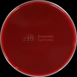 Anaerobe Systems BRU - Brucella Blood Agar, 4 Plates/Pkg, Quantity: Pack
