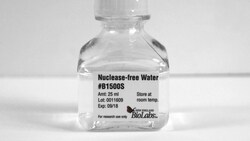 New England Biolabs, Inc. Nuclease-free Water – 25 ml