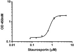 Abcam Staurosporine, Protein kinase inhibitor, 100UG, Quantity: Each of