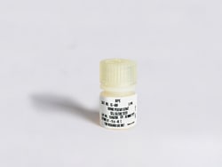 Lonza Walkersville Bovine Pituitary Extract (BPE), 13mg/mL, 2 mL, Quantity: