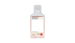 Promocell GmbH PromoCell Endothelial Cell Growth Medium 500 ml, ready-to-use,