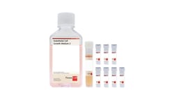 Promocell GmbH PromoCell Endothelial Cell Growth Medium 2 KIT 500 ml, Contains: