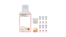 Promocell GmbH PromoCell Endothelial Cell Growth Medium MV 2 KIT 500 ml,