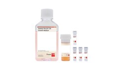 Promocell GmbH PromoCell Skeletal Muscle Cell Growth Medium KIT 500 ml,
