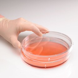 USA Scientific Inc CytoOne 150 x 20 mm TC dish, Quantity: Case of 60