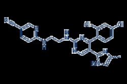 Selleck Chemical LLC CHIR-99021 (CT99021) 2mg 252917-06-9, Quantity: Each
