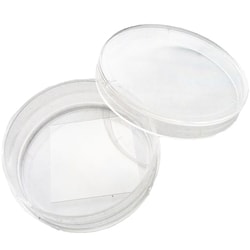 MatTek Corporation (Case of 500) 35 mm Falcon Dish, No. 1.5, 22 x 22 mm