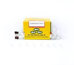 Zymo Research Corporation EZ DNA Methylation-Gold Kit (200 Rxns), Quantity:
