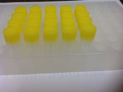 Biopioneer DH5ALPHA COMPETENT CELLS, 50X6, Quantity: Each of 1