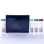 ピリオド4枚 Agilent Technologies GENEMORPH II RANDOM MUTA KIT, Quantity