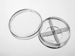 Cellvis 4-CHAMBER 35MM GB DISH 20MM W/, Quantity: Case of 1