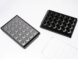 Cellvis 24 Well glass bottom plate with high performance #1.5 cover glass,