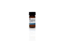Vector Laboratories VECTASHIELD® HardSet™ Antifade Mounting Medium With