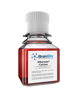 BrainBits HIBERNATE A WITHOUT CALCIUM, Quantity: Each of 1