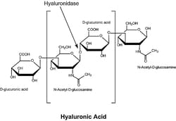 Supply Solutions HYALURONIDASE 100MG, Quantity: Each of 1
