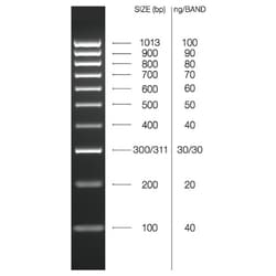 Meridian Life Science HYPERLADDER IV 100 LANES, Quantity: Each of 1