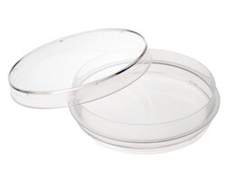 CELLTREAT Scientific Products 100mm x 20mm Tissue Culture Treated Dish