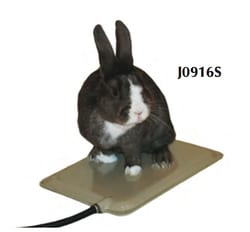 Jorgensen Labs Very Small Animal Heated Pad, Quantity: Each of 1