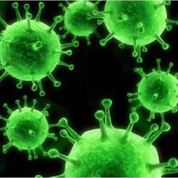 System Biosciences LLC PEG-it Virus Precipitation Solution, 100ml, Quantity: