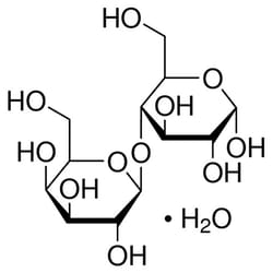 U.S. Pharmacopeia Lactose monohydrate, 64044-51-5, MFCD00166994, 500 mg,