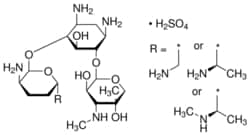 Sigma Aldrich Fine Chemicals Biosciences Gentamicin solution | 1405-41-0
