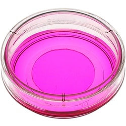 MatTek Corporation (Case of 200) 35 mm Dish, No. 1.5 Uncoated Coverslip,