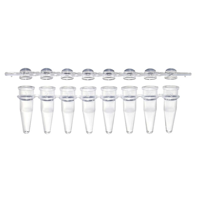 USA Scientific Inc 0.2 mL PCR 8tube strip with 8cap strips, natural