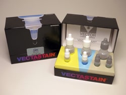 Vector Laboratories VECTASTAIN Elite ABC HRP Kit (Peroxidase, Anti-Mouse