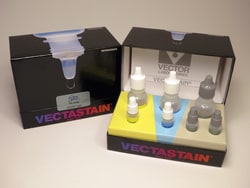 Vector Laboratories VECTASTAIN Elite ABC HRP Kit (Peroxidase, Goat IgG)