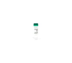 Zymo Research Corporation ZR small-RNA™ Ladder  (10 μg)