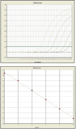 Clontech Labs 3P Premix Ex Taq DNA Polymerase (Perfect Real Time), 200