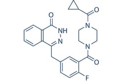 Selleck Chemical LLC Olaparib (AZD2281) 10mM/1mL 763113-22-0 Ku-0059436,