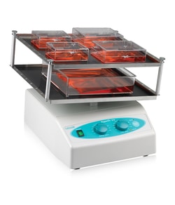Labnet International, Inc PROBLOT 25XLD ROCKER DBL PLTFM