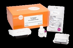 ProteinSimple 12-230 kDa Separation Module, 200 Capillaries, Quantity: