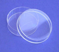 Tritech Research Inc 60MM NONVENTED P.DISHES 500/CS, Quantity: Case of