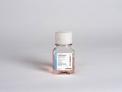Lonza Walkersville Trypsin/EDTA Solution, 100 mL