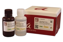 Advansta Inc WesternBright Sirius Chemiluminescent Detection Kit 200ml,