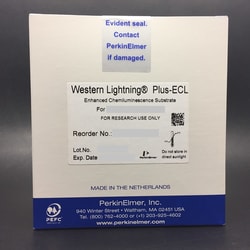 Revvity Health Sciences Inc Western Lightning Plus, Chemiluminescent Substrate