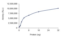 Sino Biological&nbsp;Recombinant Human PDE12 Protein (Full Length, GST Tag), Active