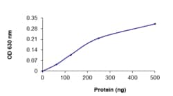 Sino Biological&nbsp;Recombinant Human PPP1CA Protein (GST Tag), Active