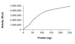 Sino Biological&nbsp;Recombinant Human PIP5K1B Protein (Full Length, GST Tag), Active