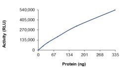 Sino Biological&nbsp;Recombinant Human PIK3C2B Protein (GST Tag), Active