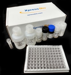 XpressBio HIV-1 p24 ELISA Kit, 96 wells, Quantity: Each of 1