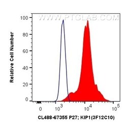 P27 KIP1 Mouse, anti-Human, CoraLite Plus 488, Clone: 3F12C10, Proteintech